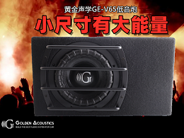【慧声音改】黄金声学GE-V65低音炮，玩音质一套低音音响系统便足矣！