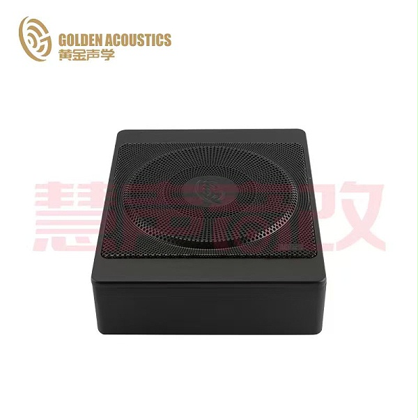黄金声学智能小钢炮 VE-DS700 功放DSP座椅炮一体机