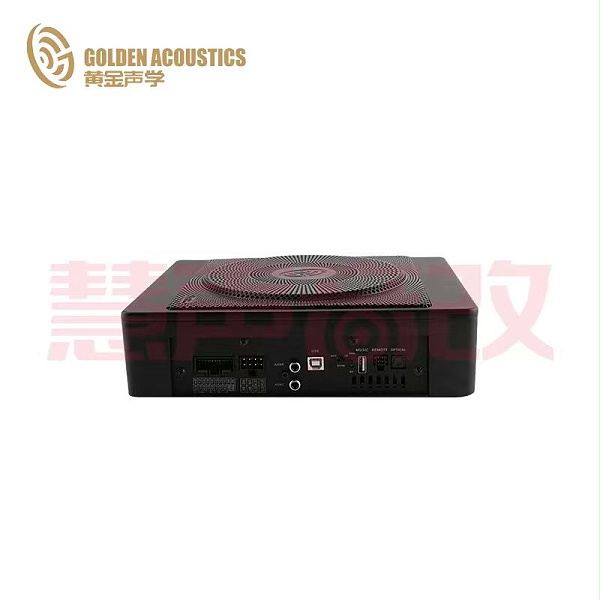黄金声学智能小钢炮 VE-DS700 功放DSP座椅炮一体机