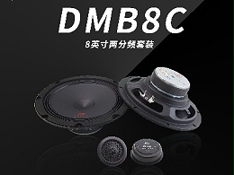 【慧声音改】德国DEGO德高DMB8C两分频，不能错过的喇叭！
